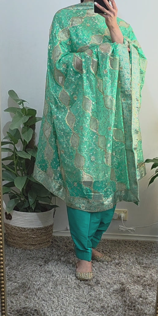 Sea Green traditional salwar suit